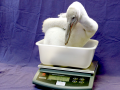 Dalmatian Pelican