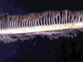 Sea Pen