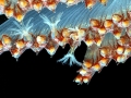 Sea Pen