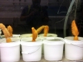 Sea Pen