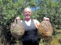 Abalone