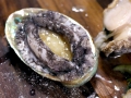 Abalone