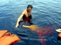 Amazon Pink River Dolphin