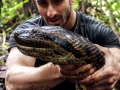 Anaconda