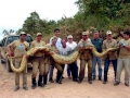 Anaconda