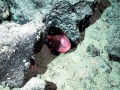 Anglerfish