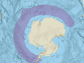 Antarctic Fur Seal