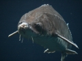 Sturgeon