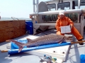 Sturgeon