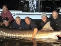 Sturgeon