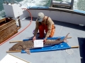 Sturgeon