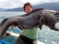 Wolffish