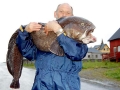 Wolffish