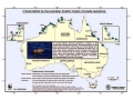 Australian Snubfin Dolphin