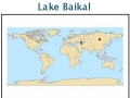 Baikal Seal