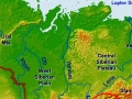 Baikal Seal