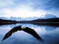 bald-eagle-and-american-flag-pics