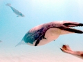 Basilosaurus