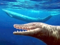 Basilosaurus