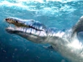 Basilosaurus