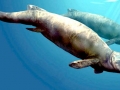 Basilosaurus