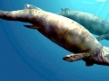 Basilosaurus