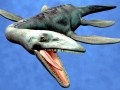 Basilosaurus