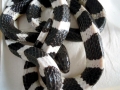 Black-banded Sea Krait