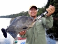 Black Piranha