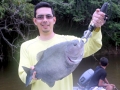 Black Piranha