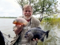Black Piranha
