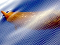 Blainville's Beaked Whale