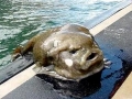 Blobfish