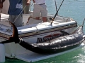 Blue Marlin