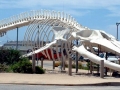 Blue Whale