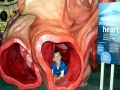Blue Whale
