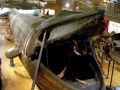 Blue Whale