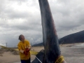 bluewhaletail