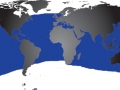Bottlenose Dolphin
