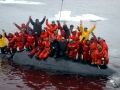 Bowhead Whale