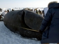Bowhead Whale