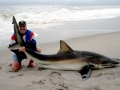 Bronze Whaler Shark