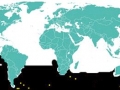 Cape Petrel