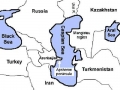 Caspian Seal