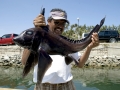 Chimaera