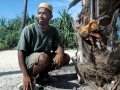Coconut Crab