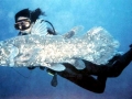 Coelacanth