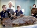 Coelacanth