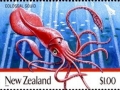 Colossal Squid