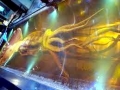 Colossal Squid
